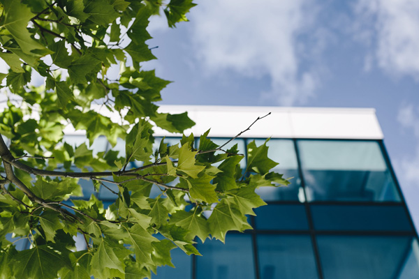 歡迎訪問(wèn)我們的官方網(wǎng)站